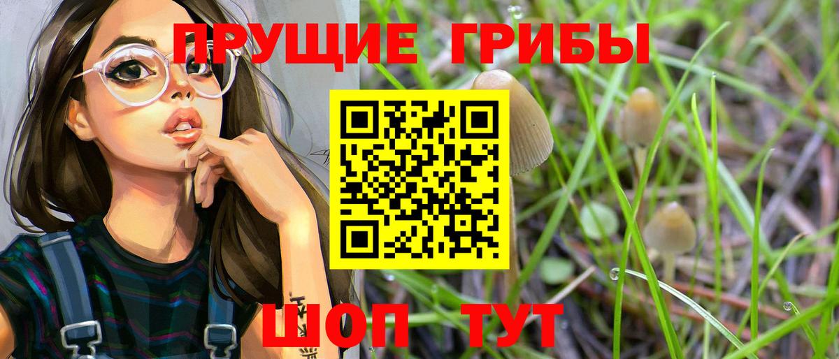 Галлюциногенные грибы ЛСД  Вход с VPN  Энгельс  Псилоцибиновые грибы прущие грибы 